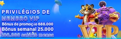 Conta 951Bra